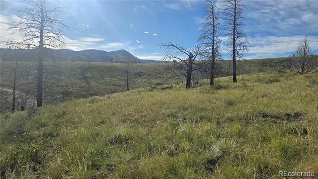 Lot 7719 Hallstein Road Fort Garland, CO 81133