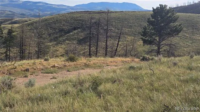 Lot 7719 Hallstein Road Fort Garland, CO 81133