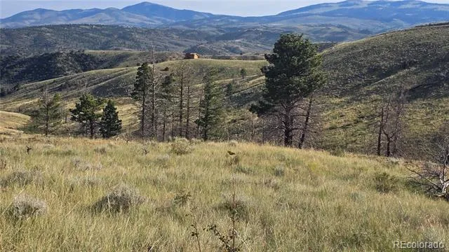 Lot 7719 Hallstein Road Fort Garland, CO 81133