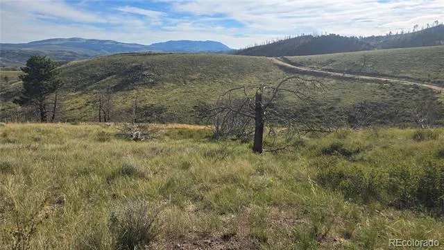 Lot 7719 Hallstein Road Fort Garland, CO 81133
