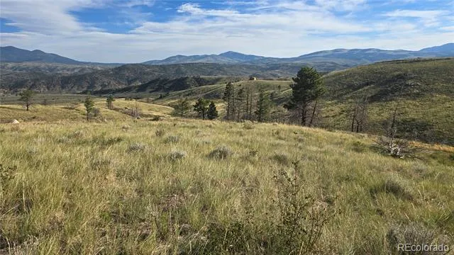 Lot 7719 Hallstein Road Fort Garland, CO 81133