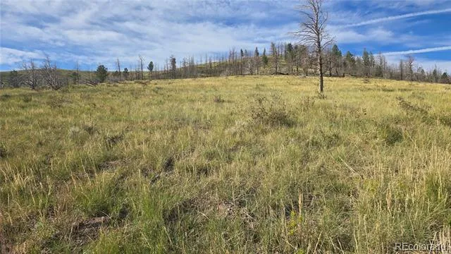 Lot 7719 Hallstein Road Fort Garland, CO 81133