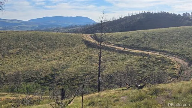 Lot 7719 Hallstein Road Fort Garland, CO 81133