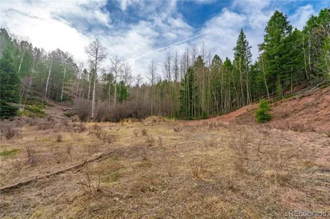 130 Grey Eagle Way