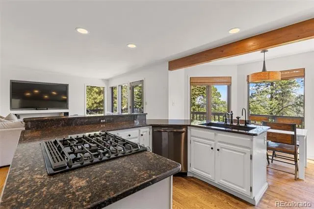 6159 S Skyline Drive Evergreen, CO 80439