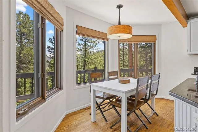 6159 S Skyline Drive Evergreen, CO 80439