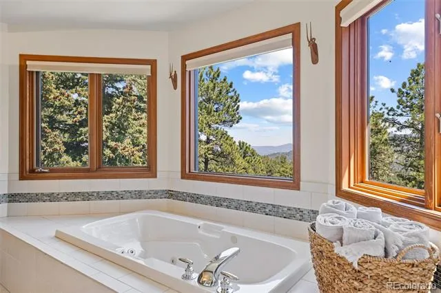 6159 S Skyline Drive Evergreen, CO 80439