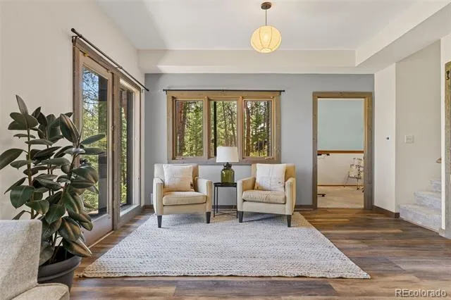 6159 S Skyline Drive Evergreen, CO 80439
