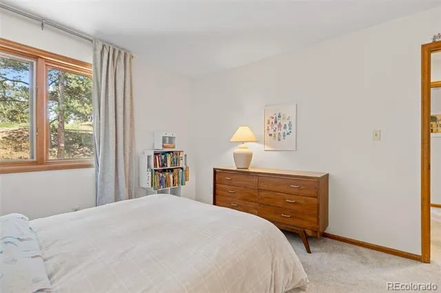 6159 S Skyline Drive Evergreen, CO 80439