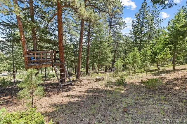 6159 S Skyline Drive Evergreen, CO 80439