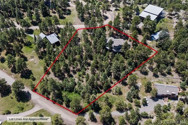 6159 S Skyline Drive Evergreen, CO 80439
