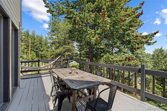 6159 S Skyline Drive Evergreen, CO 80439