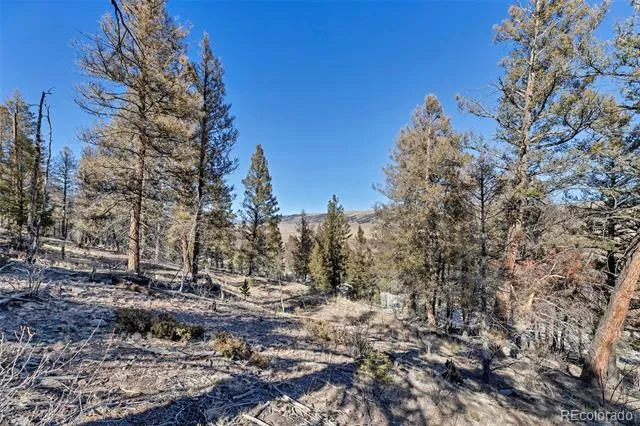 1467 Redhill Road Fairplay, CO 80440