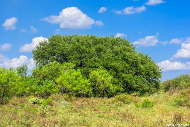4163 E STATE HIGHWAY 29 Mason, TX 76856