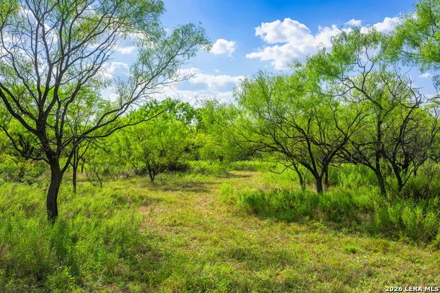 4163 E STATE HIGHWAY 29 Mason, TX 76856