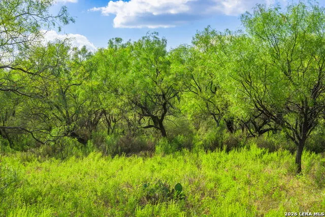 4163 E STATE HIGHWAY 29 Mason, TX 76856