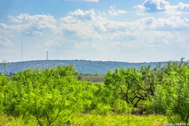 4163 E STATE HIGHWAY 29 Mason, TX 76856