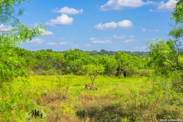 4163 E STATE HIGHWAY 29 Mason, TX 76856