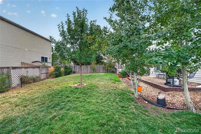 1454 Goldeneye Lane Brighton, CO 80601