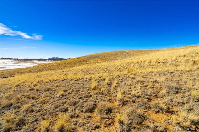 963 Rhyolite Drive Jefferson, CO 80456