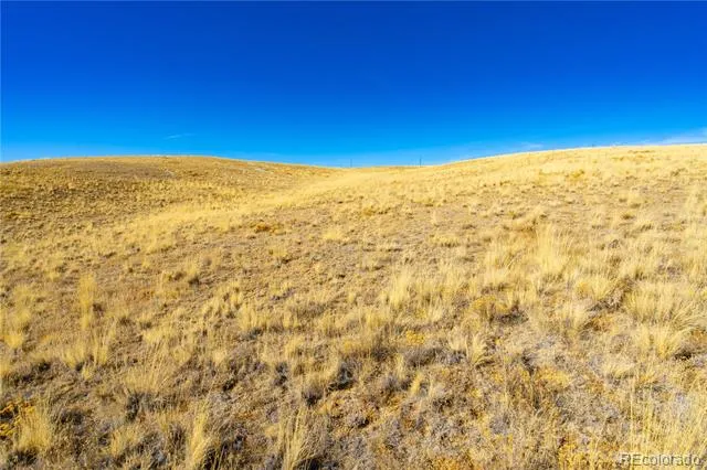 963 Rhyolite Drive Jefferson, CO 80456