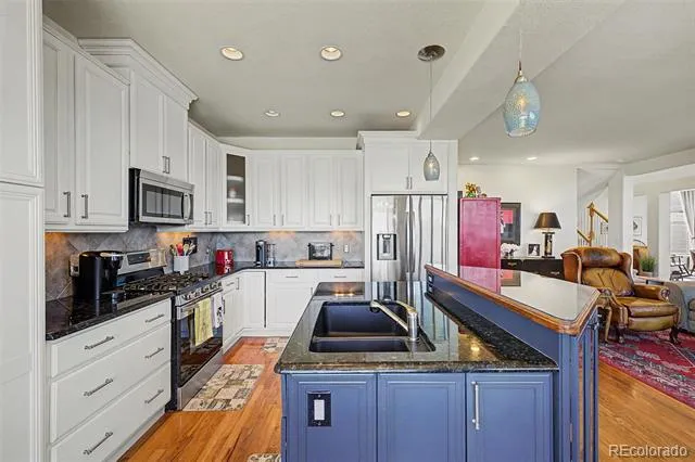 2113 Brierly Court Castle Rock, CO 80104