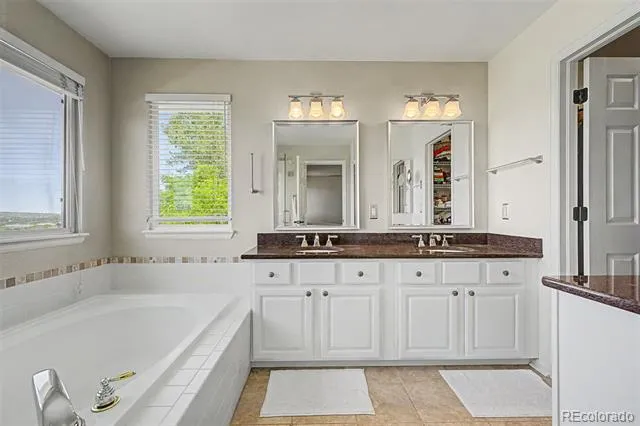 2113 Brierly Court Castle Rock, CO 80104