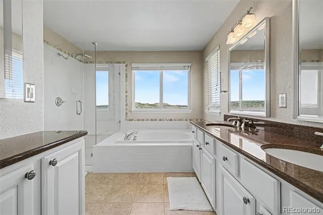2113 Brierly Court Castle Rock, CO 80104
