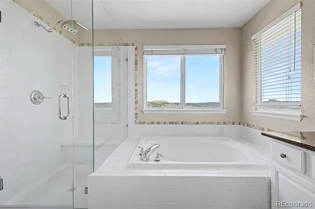 2113 Brierly Court Castle Rock, CO 80104