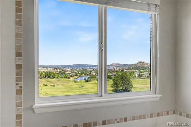 2113 Brierly Court Castle Rock, CO 80104