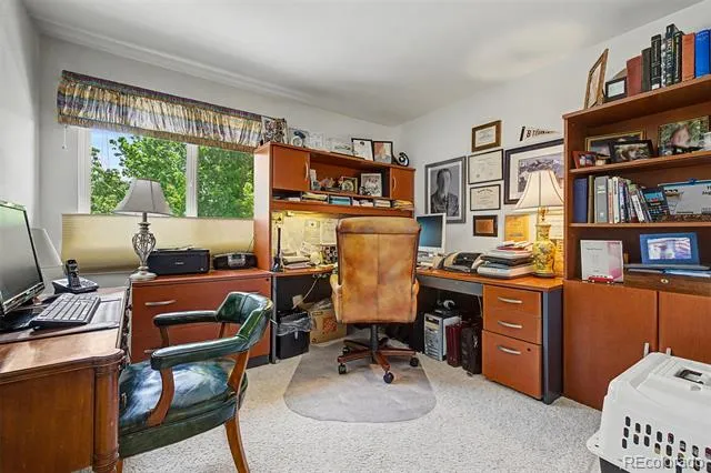 2113 Brierly Court Castle Rock, CO 80104