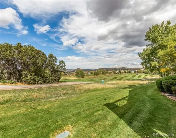 2113 Brierly Court Castle Rock, CO 80104