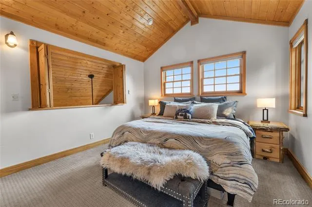 389 Mount Elbert Drive Twin Lakes, CO 81251