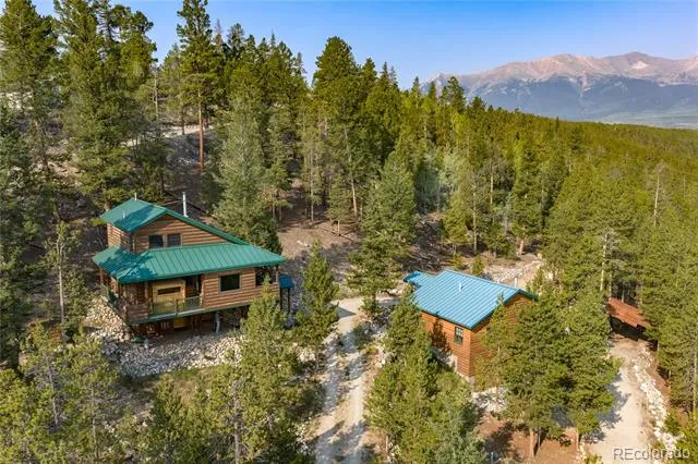 389 Mount Elbert Drive Twin Lakes, CO 81251