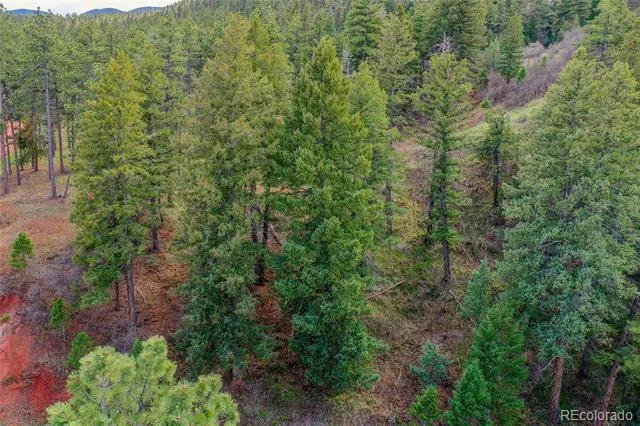 8093 Acoma Drive Larkspur, CO 80118