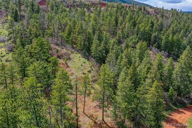 8093 Acoma Drive Larkspur, CO 80118