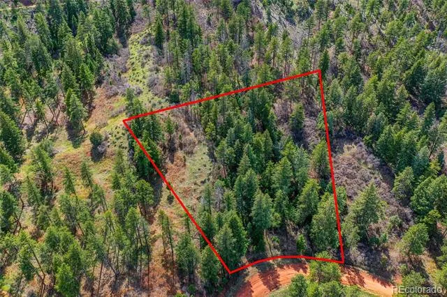 8093 Acoma Drive Larkspur, CO 80118