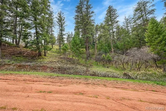 8093 Acoma Drive Larkspur, CO 80118