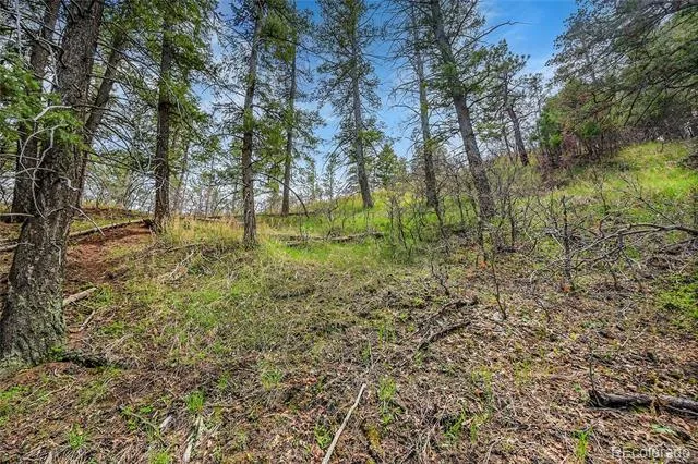 8093 Acoma Drive Larkspur, CO 80118