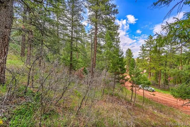 8093 Acoma Drive Larkspur, CO 80118