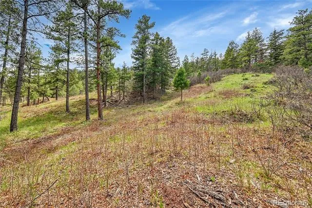 8093 Acoma Drive Larkspur, CO 80118