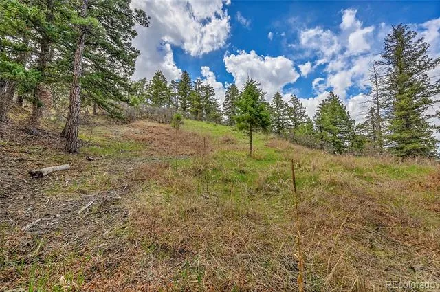 8093 Acoma Drive Larkspur, CO 80118
