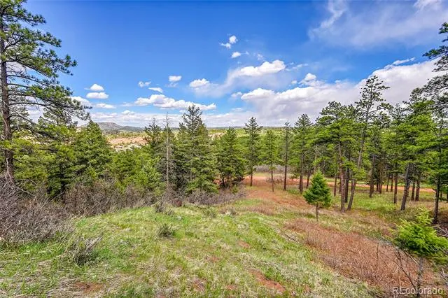 8093 Acoma Drive Larkspur, CO 80118