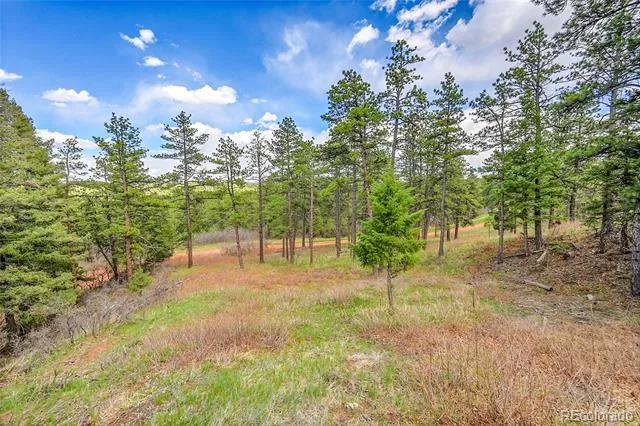 8093 Acoma Drive Larkspur, CO 80118