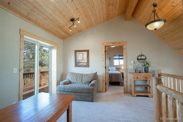 355 Oahu Road Buena Vista, CO 81211