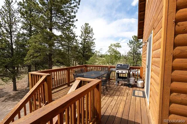355 Oahu Road Buena Vista, CO 81211