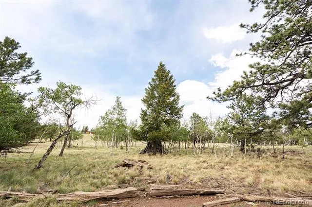 355 Oahu Road Buena Vista, CO 81211
