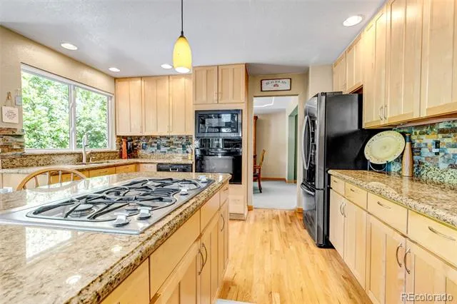 8466 S Nelson Street Littleton, CO 80127