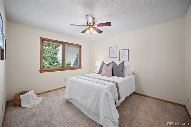 312 Blue Windsor Lane Colorado Springs, CO 80906
