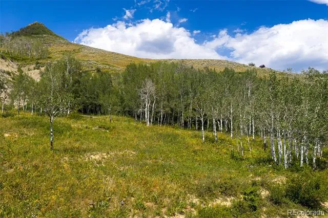 663 GCR 281 Kremmling, CO 80459